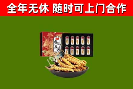 昌江烟酒回收冬虫夏草礼盒.jpg