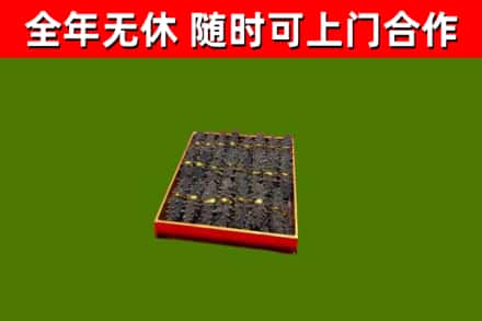 昌江回收海参